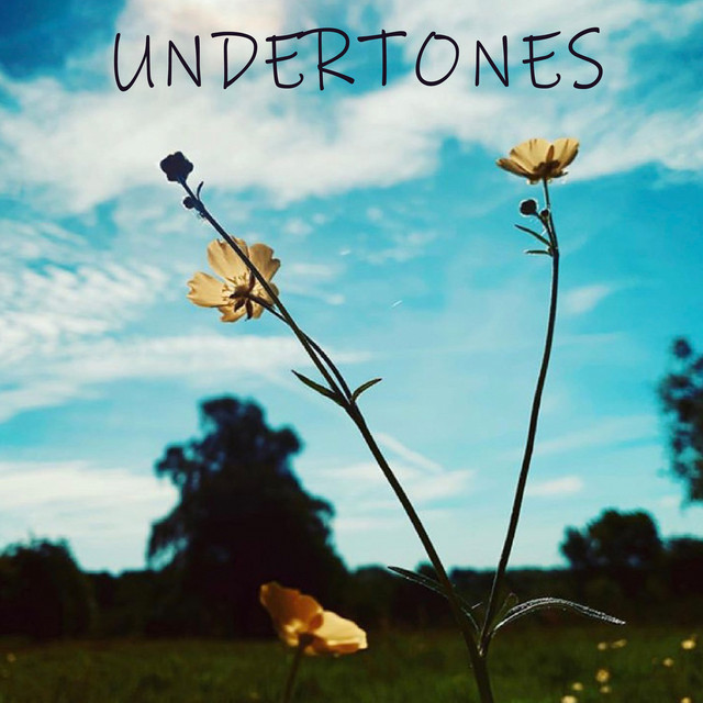 Undertones - Single by Sleep Flow | Spotify