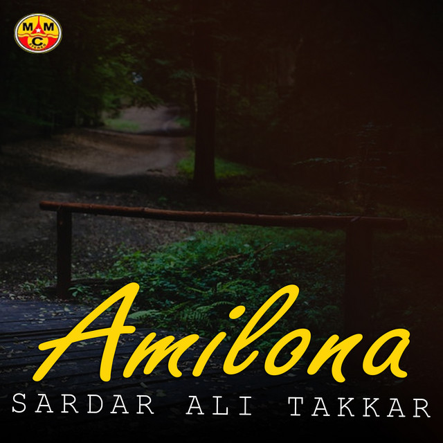 Amilona cover art