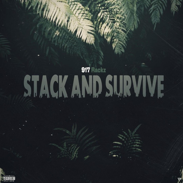 Stack and Survive - Single by 917 Rackz | Spotify