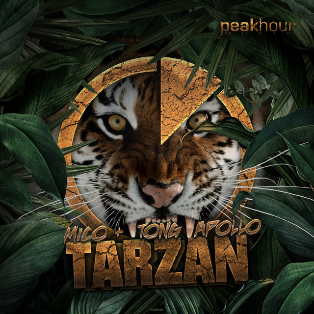 Tarzan album art