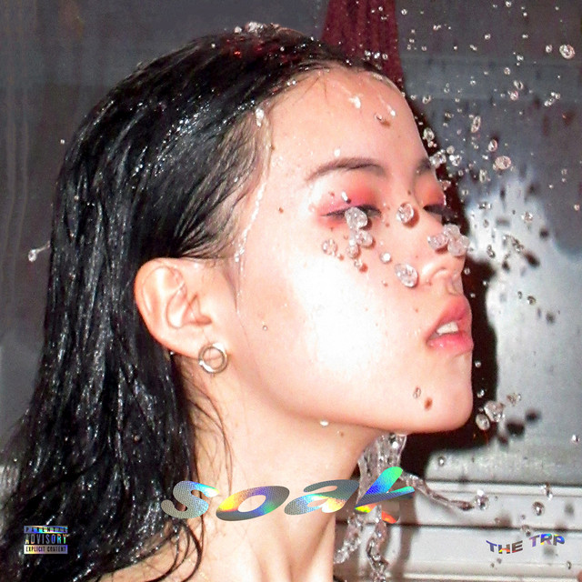 Soak cover