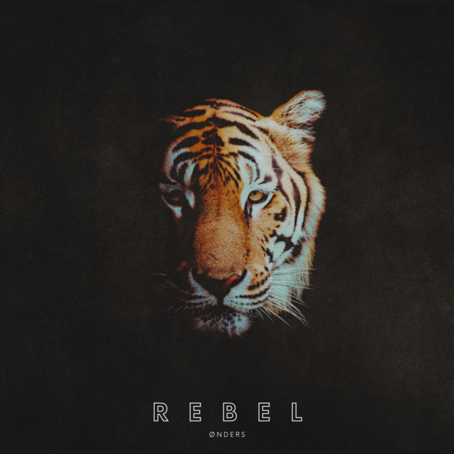 Rebel cover art