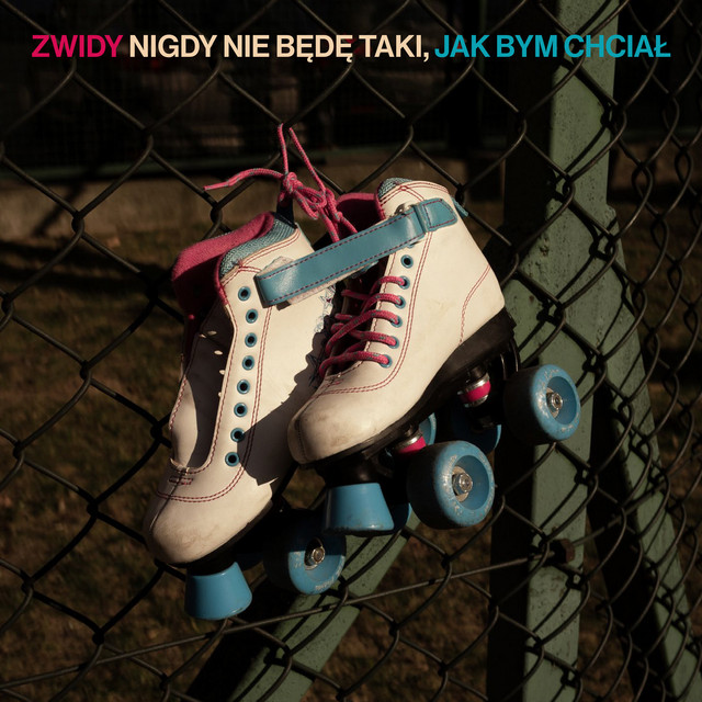 Nigdy Nie Będę Taki, Jak Bym Chciał cover