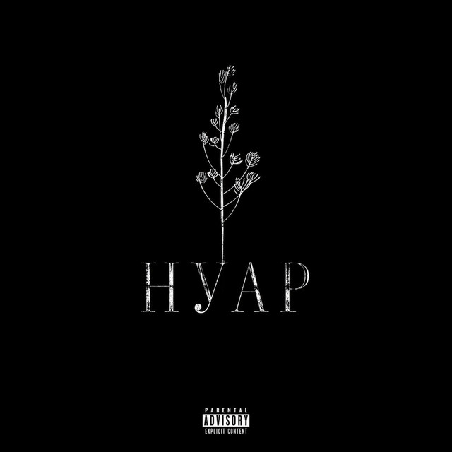 Обкладинка: Нуар — MOLODYY