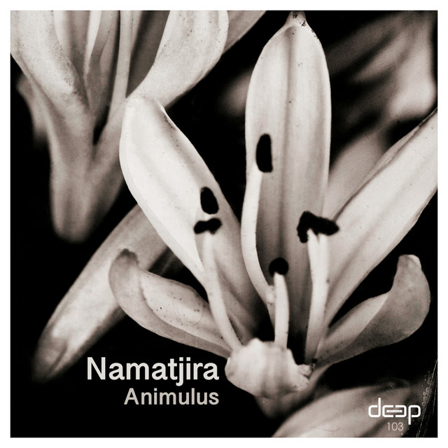 Animulus - Sounom & Sagou Remix cover art