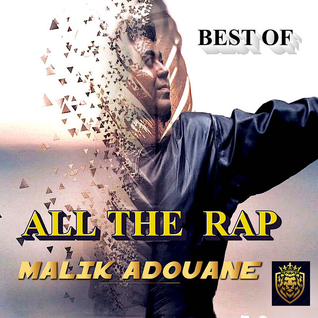 ALL THE RAP (Best Of) cover