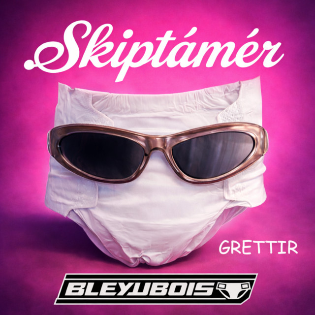 Skiptámér