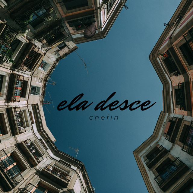 Chefin Photo