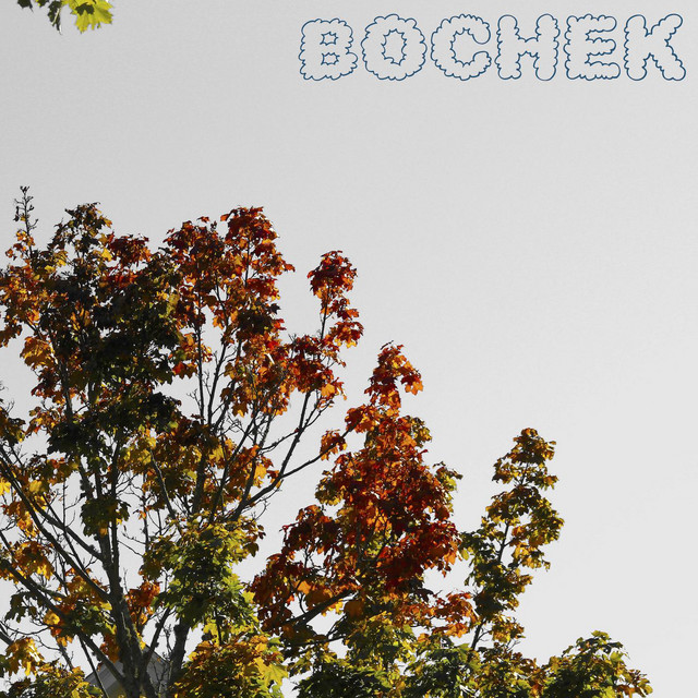 Bochek cover art