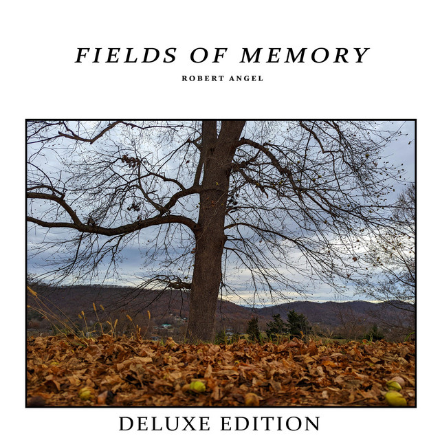 Fields of Memory (Deluxe Edition) cover art