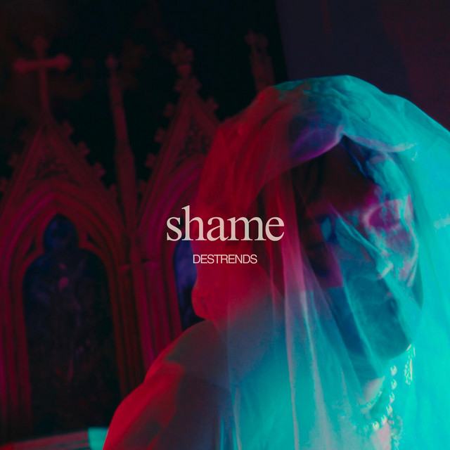 Shame cover art