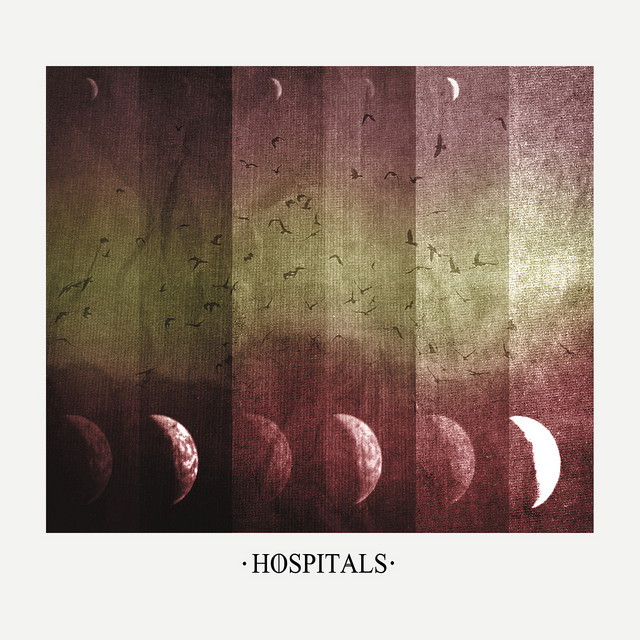 Hospitals