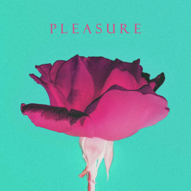 Pleasure cover art