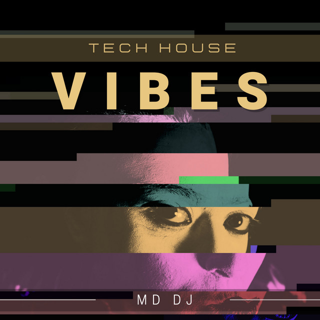 Tech House Vibes cover art