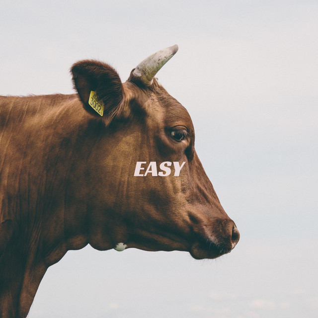 Capa de Easy - Junior Tobago
