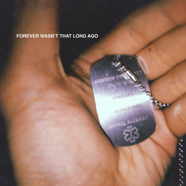 Forever Wasn't That Long Ago cover art
