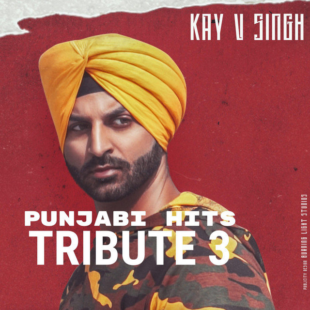 Punjabi Hits Tribute 3