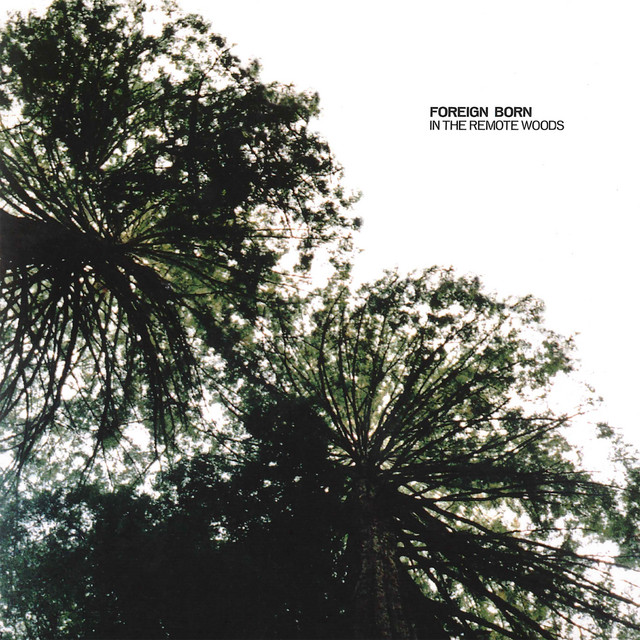 In the Remote Woods cover