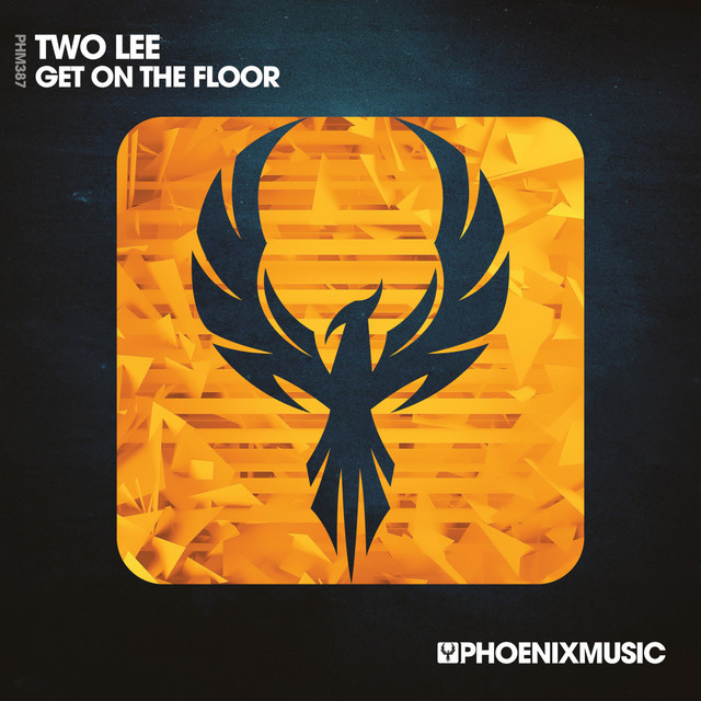 Get On The Floor - Extended Mix album art
