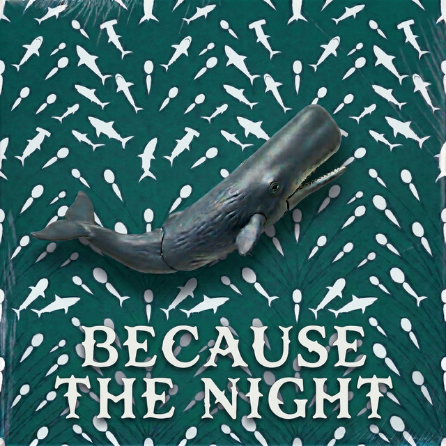 Because The Night