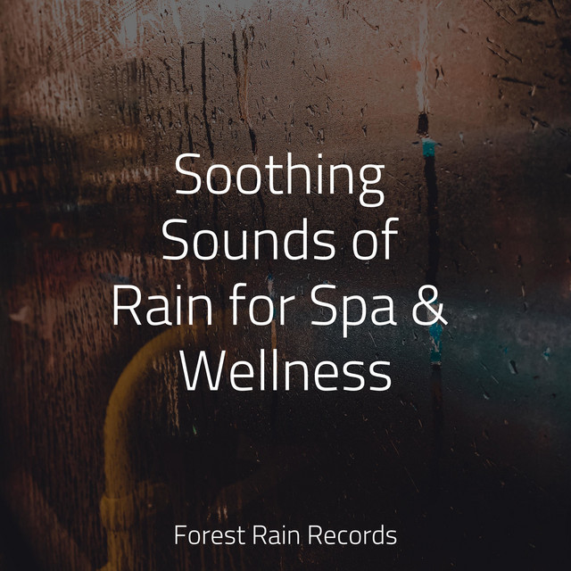 Soothing Sounds of Rain for Spa & Wellness - Album by Nature Sound ...
