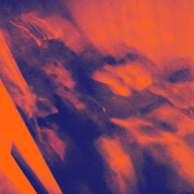 Eggshell cover art
