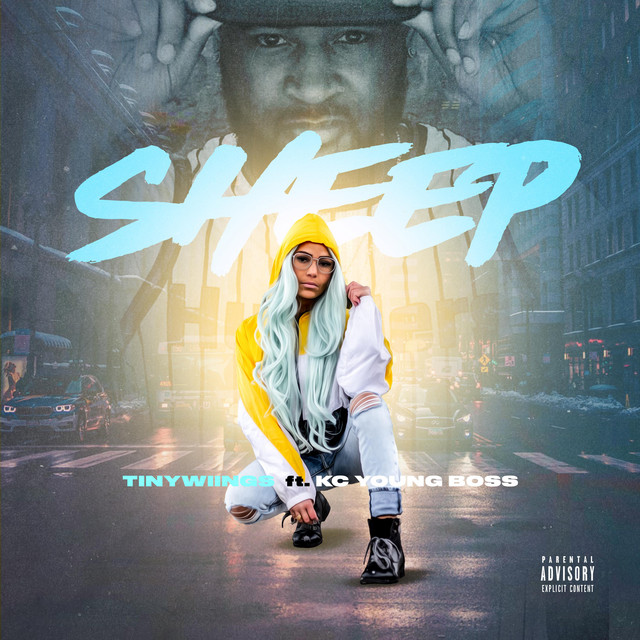 Sheep cover art