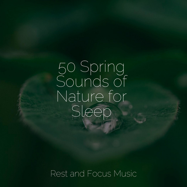 50 Spring Sounds of Nature for Sleep - Album by Exam Study Classical ...