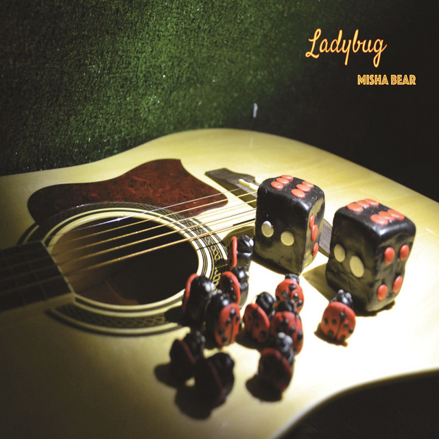 Ladybug cover art