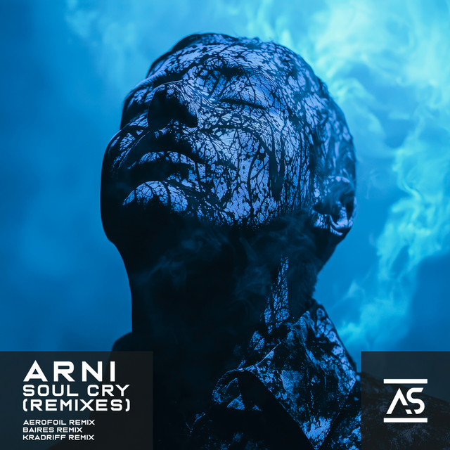 Soul Cry (Remixes) cover art