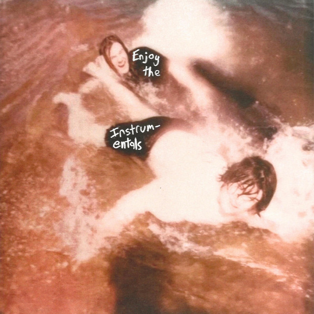 Enjoy the Instrumentals cover art