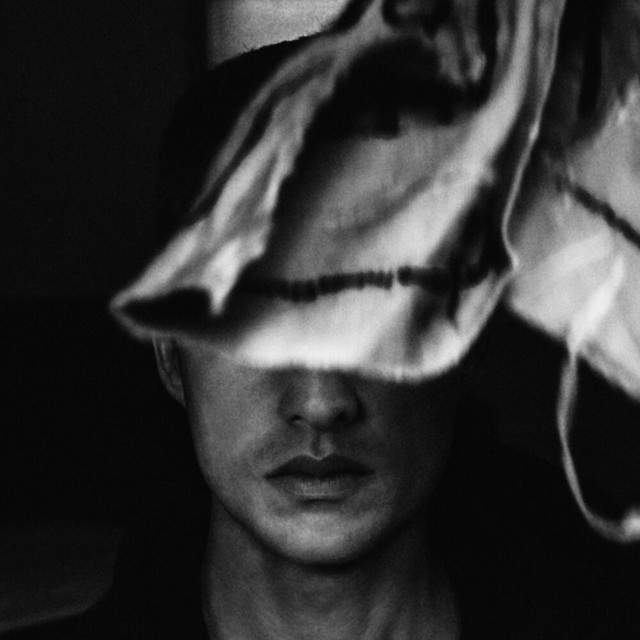 Vanish and Bloom cover art
