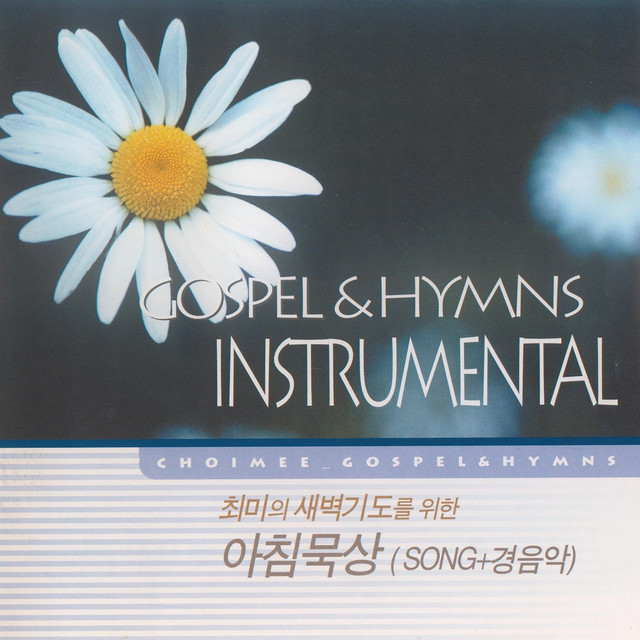 GOSPEL & HYMNS INSTRUMENTAL cover art