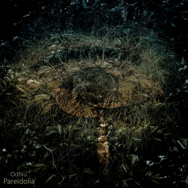 Cognitive Bias, Pt. 1: Pareidolia cover art