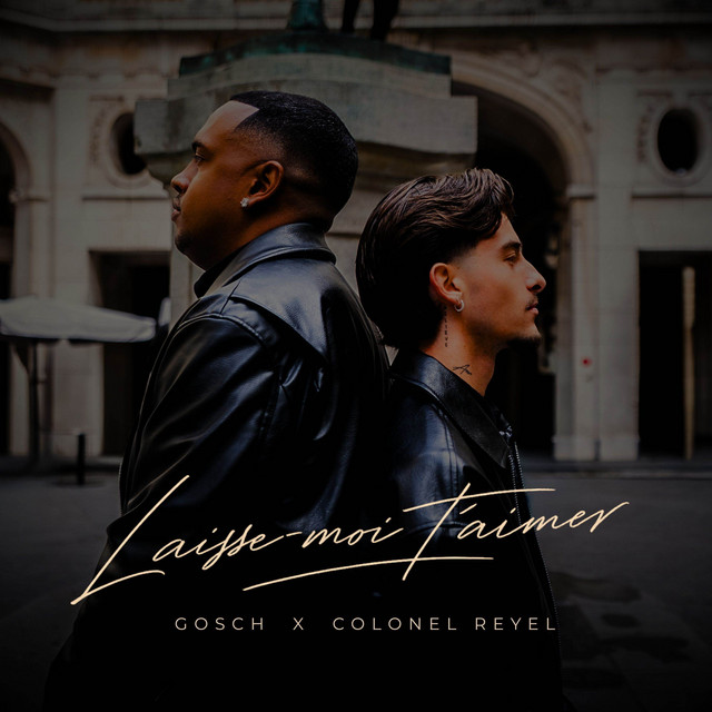 LAISSE MOI T'AIMER cover