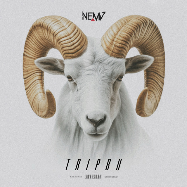 TRIPBU cover art