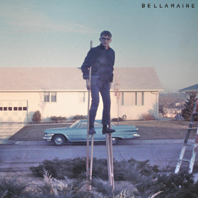 Bellamaine cover art