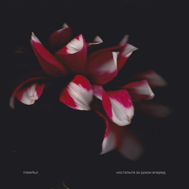 Cover art for meerkur — ностальгія за рухом вперед