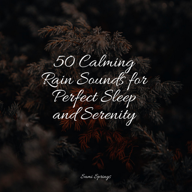 50 Calming Rain Sounds for Perfect Sleep and Serenity - Album by A ...