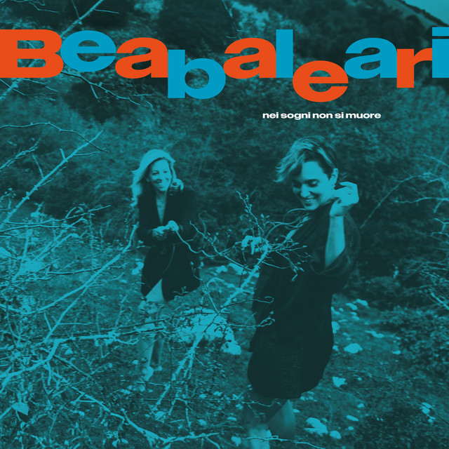 Nei sogni non si muore cover art