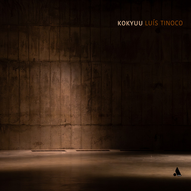Luís Tinoco: Kokyuu