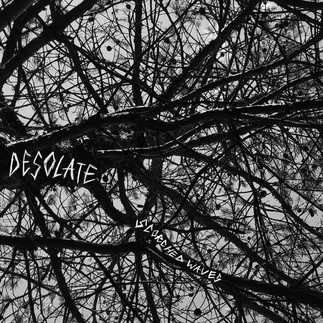 Desolate cover art