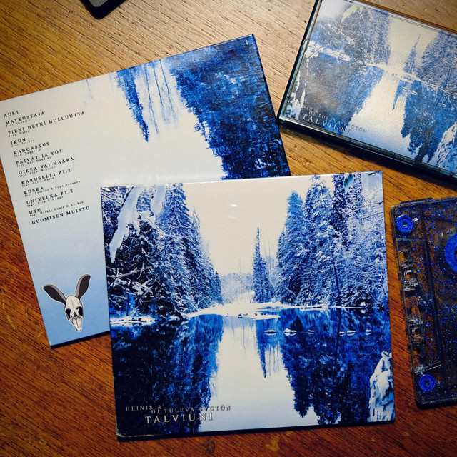 Talviuni cover art