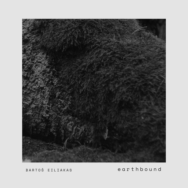 Earthbound album image