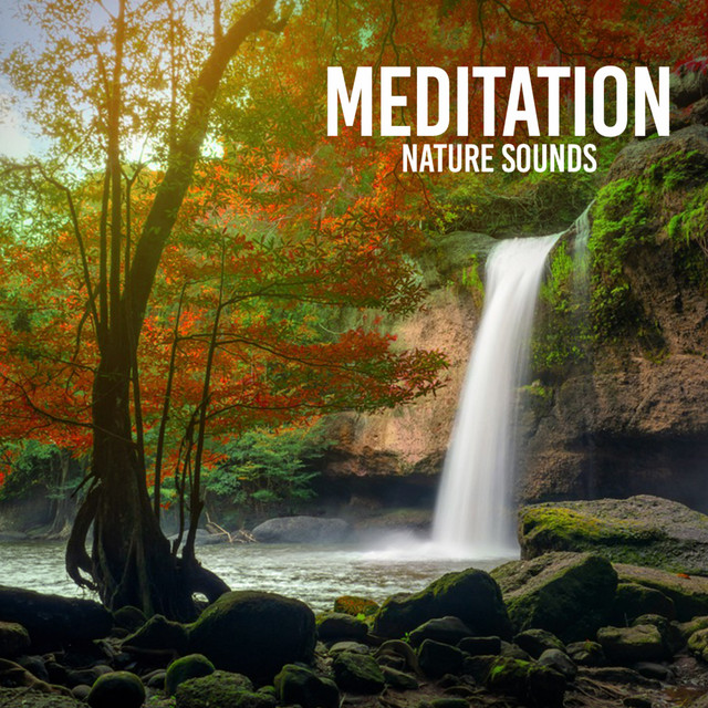 Meditation cover art