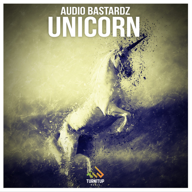 Unicorn - Radio Edit