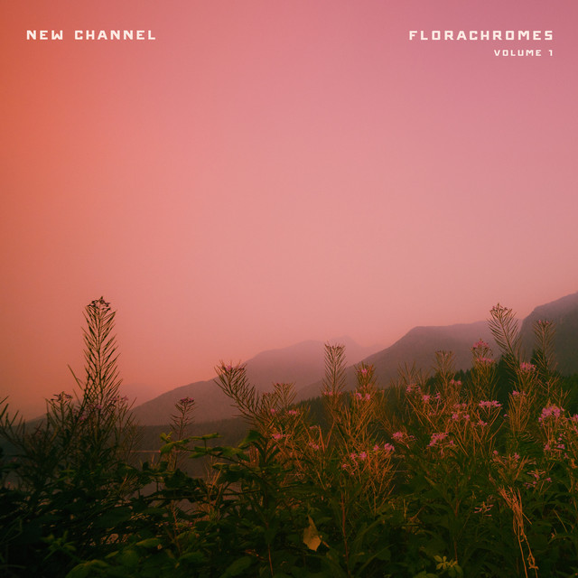 Single Stone cover art