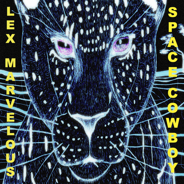 Space Cowboy cover art