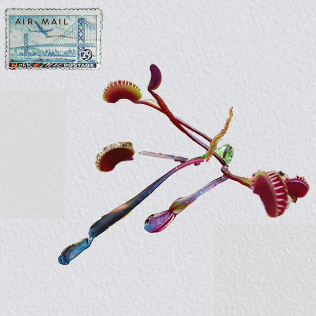 Food. cover art