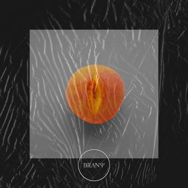 Drip cover art